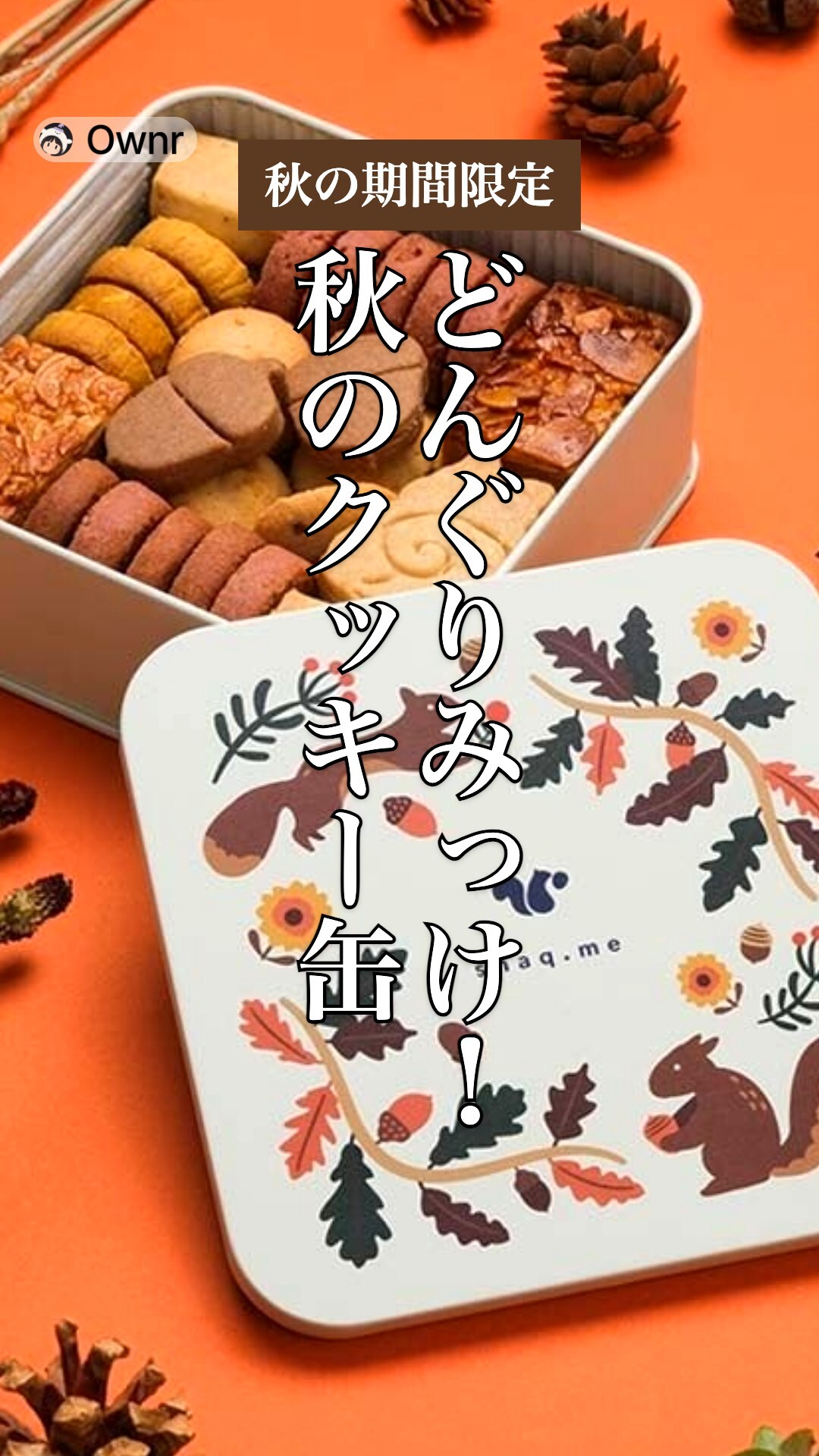 どんぐりみっけ！秋のよりみちクッキー缶のポスター